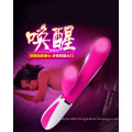 Ij-S10011 Sex Toy Vibrator Dildo Sex Toy for Women